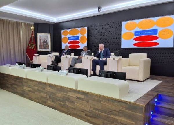 المجلس الاقتصادي والاجتماعي والبيئي